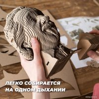 3Д-пазл QBRIX Эйнштейн