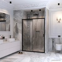 Душевая дверь Ambassador Forsa 110x200 17021217AB