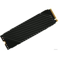 SSD Digma Top G3 1TB DGST4001TG33T