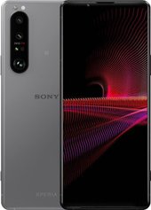 Xperia 1 III XQ-BC72 12GB/512GB (серый)