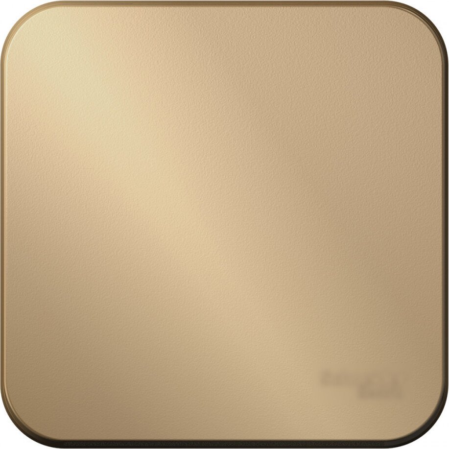 

Выключатель Systeme Electric Blanca BLNVA101014 (титан)