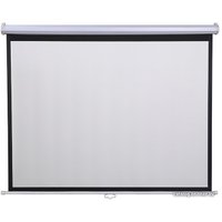 Проекционный экран Future Vision Cinema 270x152 W270HMW