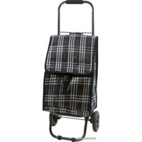 Сумка-тележка Рыжий кот D203ECO Tartan