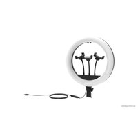 Кольцевая лампа Ritmix RRL-360