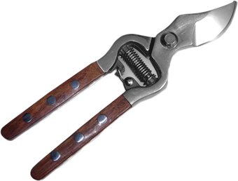 Bradas KT-RG1021