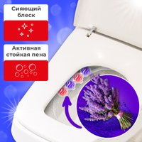 Средство для унитаза Laima Свежесть лаванды 3 в 1 608995