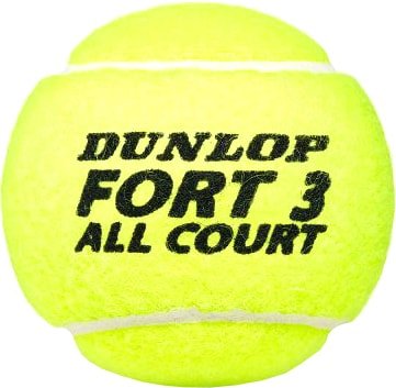 

Набор теннисных мячей Dunlop Fort All Court (4 шт)