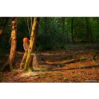 Аккумуляторная пила Ryobi RY36CSX35A-150 (с АКБ 5 Ah)