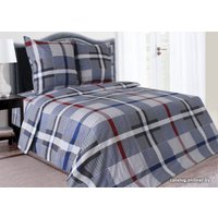 1.5-спальный комплект постельного белья Блакiт Паркер (1.5-спальный)