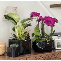 Кашпо Polnix 31.145.09