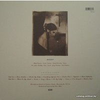  Виниловая пластинка Pixies ‎- Surfer Rosa