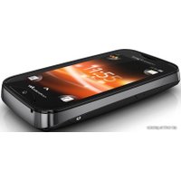 Кнопочный телефон Sony Ericsson Mix Walkman WT13i