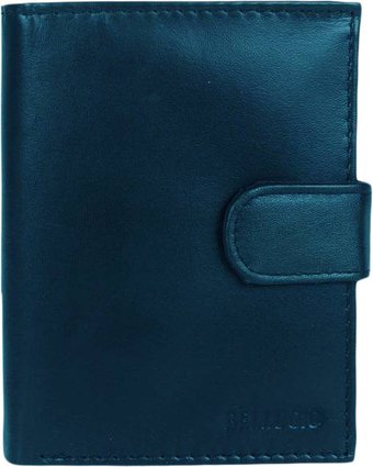 Кошелек Sanchez Casual ZM-110R-123A (синий)