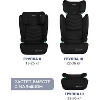 Детское автокресло Indigo Defender Isofix (черный)