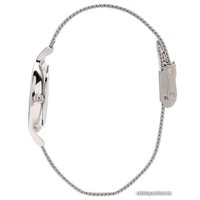 Наручные часы Skagen SKW2149