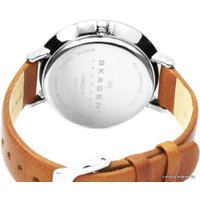 Наручные часы Skagen SKW2214