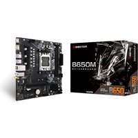 Материнская плата BIOSTAR B650MS2-E Ver. 6.0