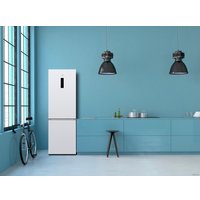 Холодильник TCL RB315WM1110LV