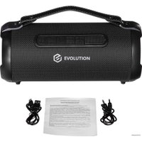 Беспроводная колонка Evolution BOOM-101 (черный)