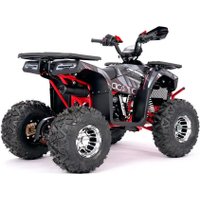 Квадроцикл Yacota Sirius LD 125 (черный/красный)