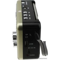 Радиоприемник Waxiba XB-522URT (золотистый)