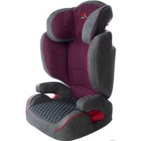 Детское автокресло ForKiddy Classic Pro (серый/фиолетовый)