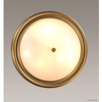 Припотолочная люстра Lumion Nina 5259/3C