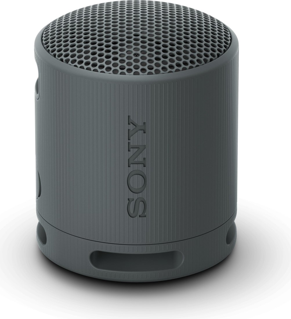 

Беспроводная колонка Sony XB100 (черный)