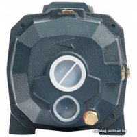 Самовсасывающий насос Unipump DP 750