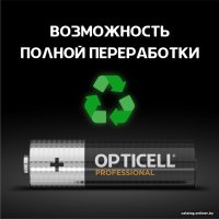 Батарейка Opticell Professional AA 5052005 (12 шт)
