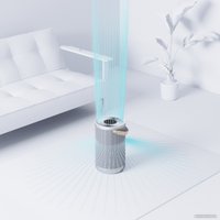 Очиститель воздуха SmartMi Air Purifier P2 ZMKQJHQP21