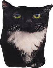 Чмоня кот мини