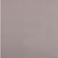 Рулонные шторы АС ФОРОС Плейн 7502 52x175 (светло-серый)