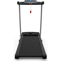 Электрическая беговая дорожка DFC Blues T-113