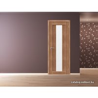 Межкомнатная дверь Portas S25 (орех карамель) в Пинске
