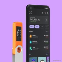 Аппаратный криптокошелек Ledger Nano S Plus (оранжевый)