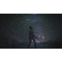  WUCHANG: Fallen Feathers Day One Edition для PlayStation 5