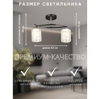 Люстра средней высоты Aitin Pro НПБ 02-2x60-101 K2351/2 (черный/хром)