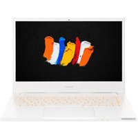 Ноутбук Acer ConceptD 3 Ezel CN314-72G-77XW NX.C5UER.003