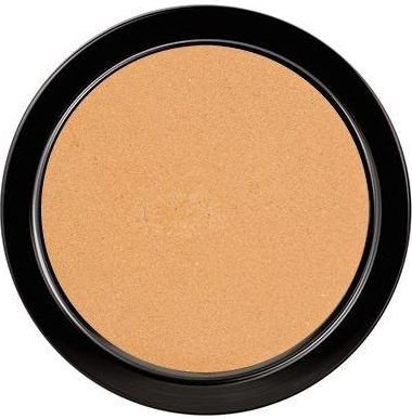 

Компактная пудра Paese Illuminating Covering Powder 2С натуральный (9 г)