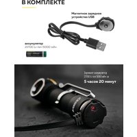 Фонарь FORSAGE F-BF101(54145)