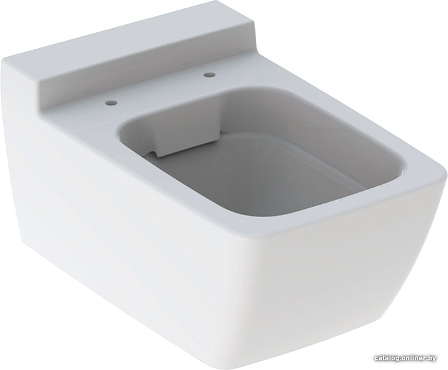Унитаз подвесной Geberit Xeno2 Rimfree 500.500.01.1 (без сиденья)