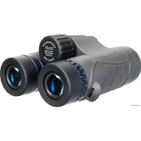 Бинокль Levenhuk Nitro 10x32 (черный)