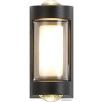 Уличный накладной светильник ESCADA 30006W/01LED (черный)