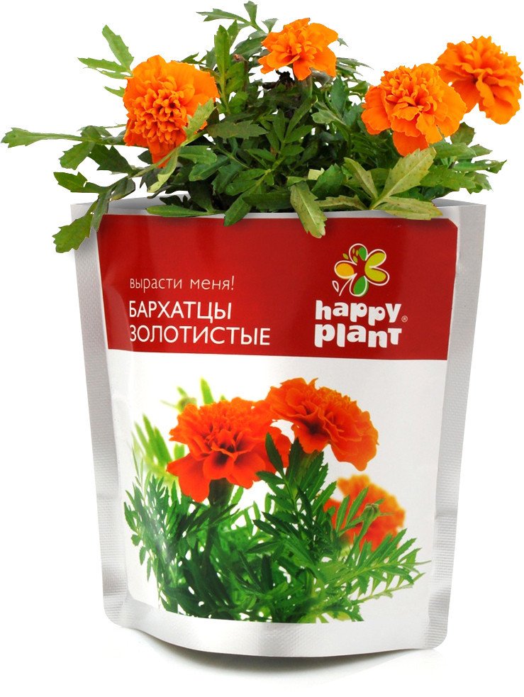 

Набор для опытов Happy plant Бархатцы золотистые hpn-30