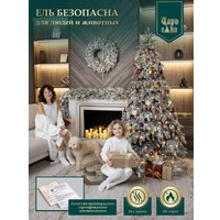 Ель Царь Елка Афродита АФР/ЗСН-210 (заснеженная)