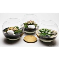 Флорариум Home Garden Маленький Шар
