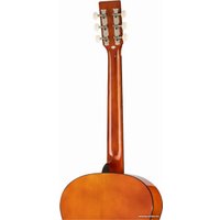 Акустическая гитара Homage LF-3900