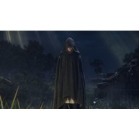  Elden Ring. Премьерное Издание для PlayStation 4