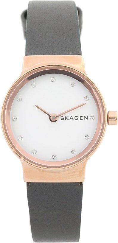 

Наручные часы Skagen SKW2669